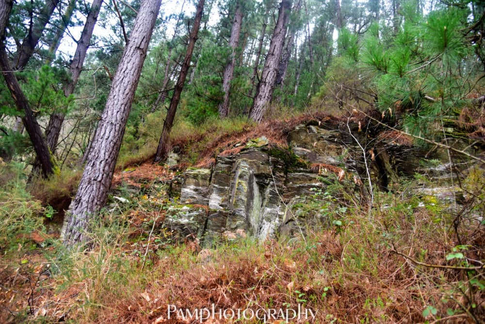 MAP_6746